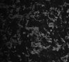 665A91E5-C688-45AC-B961-00C2FE53151D.jpeg