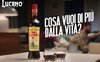 Lucano!.JPG