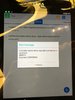 WhatsApp Image 3.jpeg