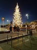 B02E346E-45A4-48AA-BE51-28876D56C690_1_105_c.jpeg