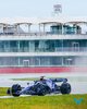 williams 6.jpg