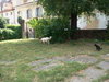 2011-09-03 12.14.19.jpg