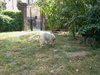 2011-09-03 12.14.51.jpg