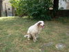 2011-09-03 12.15.01.jpg