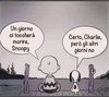 492D2B1C-DB10-4966-96CF-493B1E04CD6C.jpeg
