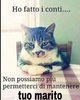 CC3DC8C3-9E04-49CD-8517-E8BB3DCF9399.jpeg