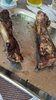 IMG-20220507-WA0005.jpeg