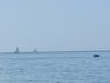IMG_20220625_113202.jpg