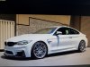 M4-CP.jpg