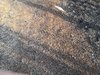 IMG_20220811_184625.jpg