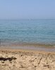 IMG_3392.jpeg