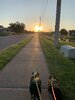 IMG_0348.jpeg