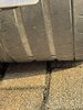 IMG_0492.jpeg