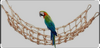 upload_2023-10-29_11-6-18.png