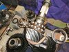 IMG_20220304_175256.jpg