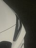 IMG_8501.jpeg