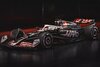 Haas 2.jpg