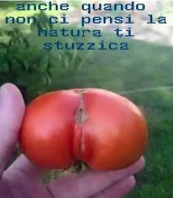 Paiolino_is