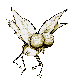 THE FLY