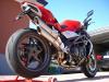Dragone81