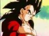 Vegeta81
