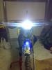 lillo7780
