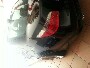 beppespeed
