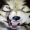 wolfdh19