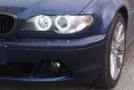 dap_pn