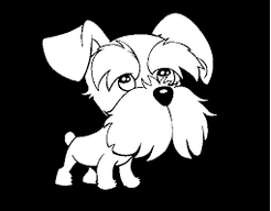 Ottoschnauz