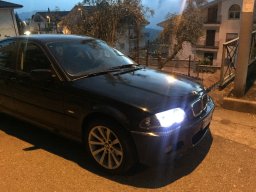 Domanico7919