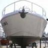 nautius