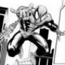 SPIDER61