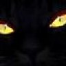 Blackcat