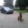 ivan89