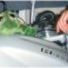 Lucio79fi