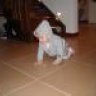 Rydon