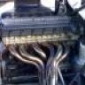 Gioiron83