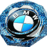 BMWPESCION