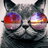 fabri_