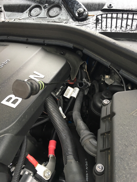 Vano motore sporco di olio | BMWpassion forum e blog